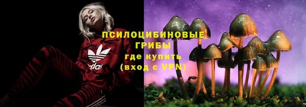 сатива Лагань