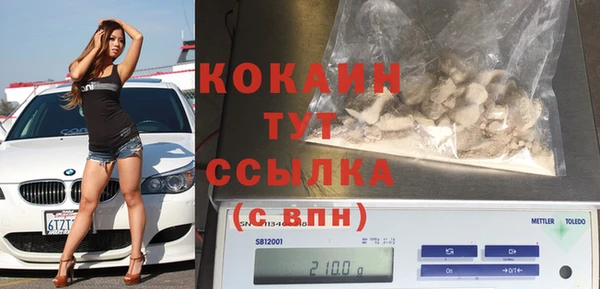 сатива Лагань